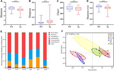 Rheum tanguticum Alleviates Cognitive Impairment in APP/PS1 Mice by Regulating Drug-Responsive Bacteria and Their Corresponding Microbial Metabolites